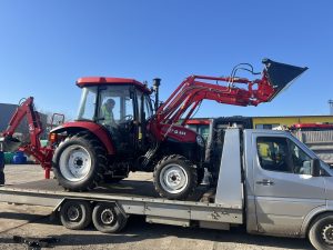 Статуи на Буда в пещерите Лонгмен, окъпани в златист блясък