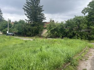 AI захранва интелигентното шофиране в Китай