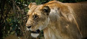 Xiaohongshu казва, че докладите за ново финансиране въз основа на оценка от 20 милиарда долара са „неверни“ · TechNode