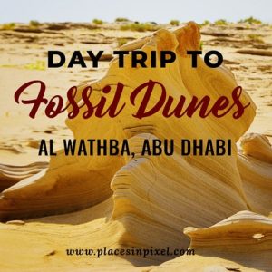 Главният изпълнителен директор на McDonald’s: „Вярваме в Китай“