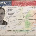 How I Found a Job in America: Getting My H-1 B Visa (Part Two)