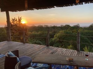 Репресиите на министерството разбиват престъпни индустриални вериги за фалшифициране