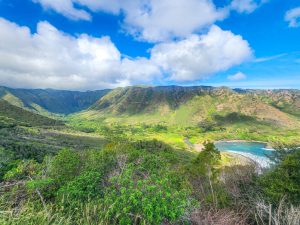 Porsche China ще съкрати работни места на фона на усилията за реорганизация · TechNode