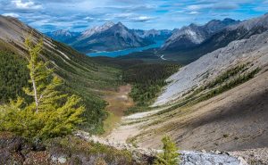Китайската брегова охрана спасява рибарска лодка от района на Тайван близо до остров Диаоюй