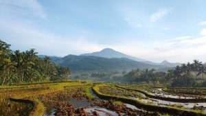 Ant Group вижда бум на застрахователния бизнес с 30% ръст на годишна база в изплащанията по искове през първото полугодие · TechNode