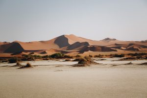 AI манипулиране на резултатите от търсенето, подчертано на потребителска гала