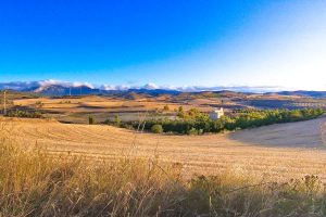 Meituan отваря офлайн магазин – Chinadaily.com.cn