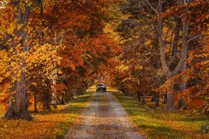 Китайското съвместно предприятие на Volkswagen пуска първото електрическо купе SUV · TechNode