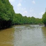 Trip to Pichavaram Mangroves near Pondicherry