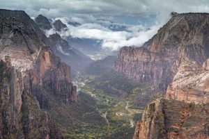 Is it Paw-ssible to Travel with Pets?