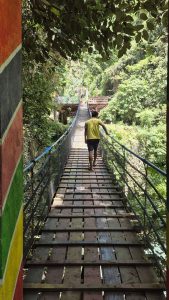 Cebu to Bohol – Dr Jam Travels