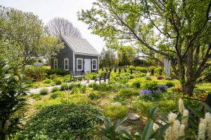 Move Over Louisville! This Charming Kentucky City Is Surging In Popularity