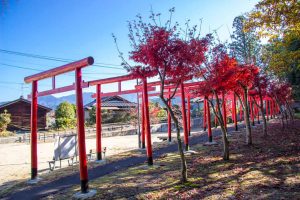 Nakasendo Trail (Following Ancient Footsteps In Japan)