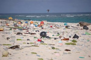 We’re saying “no” to plastic for Making Holidays Greener