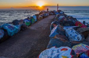 22 Exciting Things To Do In Port Macquarie, NSW NSW