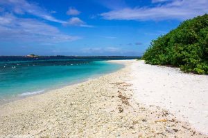 When is the best time to visit Sri Lanka