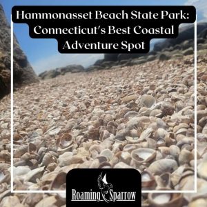 Hammonasset Beach State Park: Connecticut’s Best Coastal Adventure Spot