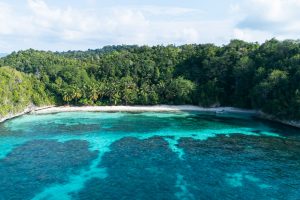 Sulawesi Travel Guide: Your Journey in Indonesia’s Wild Side