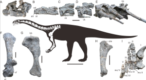 Използването на LNG от Sinopec намалява емисиите с 15 милиона тона