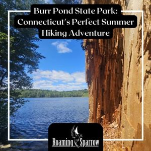 Burr Pond State Park: Connecticut’s Perfect Summer Hiking Adventure