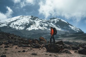 Trek Kilimanjaro with Confidence: The 6 Best Tour Operators for 2026