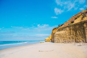 No Crowds & Postcard Shores: San Diego’s Secret Beach Hideaway Unveiled