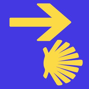 Финансовата грамотност показва ръст сред домакинствата