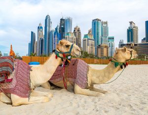 Best Time to Visit Dubai – Seasons, Weather & Travel Tips