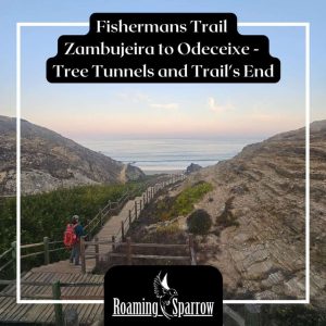 Fishermans Trail Zambujeira to Odeceixe – Tree Tunnels and Trail’s End