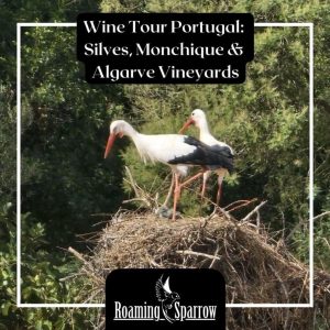 Wine Tour Portugal: Silves, Monchique & Algarve Vineyards