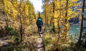 Diana Lake Hike in BC & Why It’s Worth the Drive