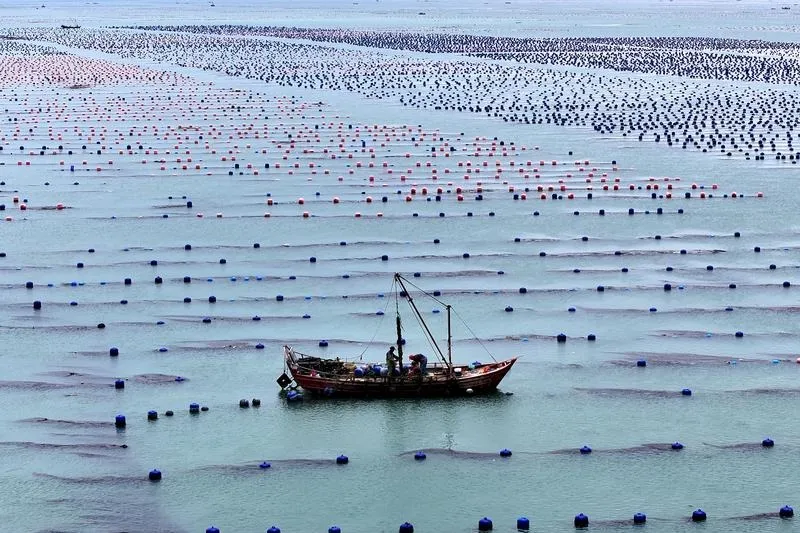 Морската икономика на Китай расте с 5,6% за деветмесечието на 2025 г.