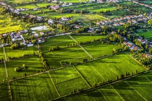 Шанхайският Chongming курс подкрепя устойчив висок растеж