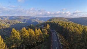 Десетилетия усилия в Saihanba изплащат зелени дивиденти