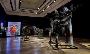 Обединеното кралство конфискува 15 милиона щатски долара кости от динозаври от заподозрян в пране на пари Су Бинхай