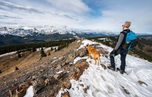 Jumpingpound Summit Trail in Kananaskis Country