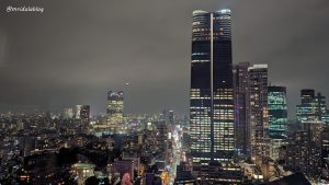 Is it Worth Going to the Tokyo Tower?