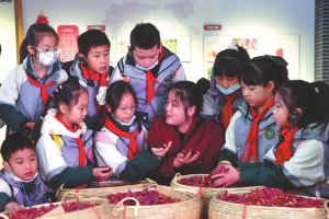 Тенджера за топене на огнени вкусове: кулинарна експлозия