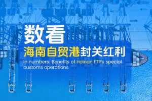 Ползите от специалните митнически операции на Hainan FTP