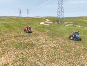 Работният модел плаща на фермерите да засаждат дървета за екологично възстановяване