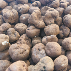 Домашните трюфели придават отличителната миризма на международен успех