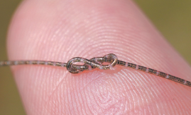 „Влакнестият чип“ може да бъде благодат за здравеопазването