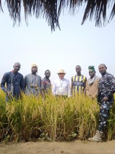 Специалистът по семена от Гуейджоу помага на нигерийски фермери да развият отглеждането на ориз