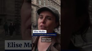 9 арестувани за схема за измама с билети за Лувъра, включваща китайски туристи