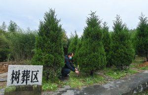 Екологичните погребения пускат корени в цял Китай