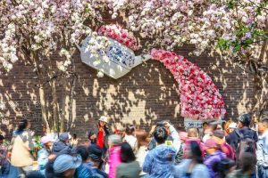 Наблюдава се динамичен ръст на потреблението по време на празника на фестивала