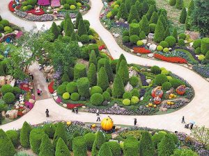 Ловците на цветове премахват стреса от градския живот